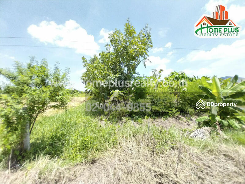 ที่ดินติดสุวินทวงศ์ 64 เนื้อที่ 200 ตารางวา (ขายรวม2แปลง), Bangkok, Lam Phak Chi, Nong Chok, Bangkok, , 800 sqm, Land For Sale, by นิล, 11055166 - DDproperty.com