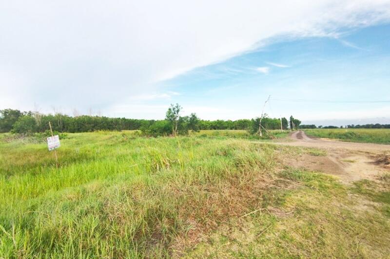 ขาย - ที่ดินเปล่า วัดโพธิ์แทน เนื้อที่ 1-1-87 ไร่ ถนนปทุมธานี-นครนายก อ.องครักษ์ จ.นครนายก, นครนายก