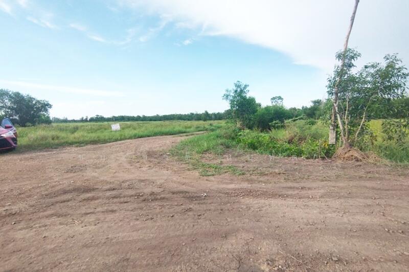 ขาย - ที่ดินเปล่า วัดโพธิ์แทน เนื้อที่ 1-1-87 ไร่ ถนนปทุมธานี-นครนายก อ.องครักษ์ จ.นครนายก, นครนายก