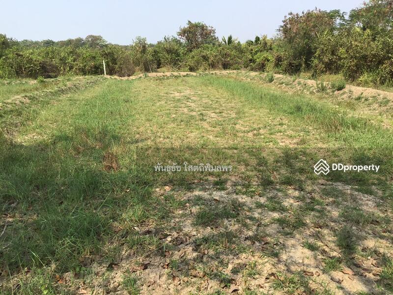 ขาย - ที่ดินเปล่า ต.วังเย็น อ.บางแพ จ.ราชบุรี, ราชบุรี
