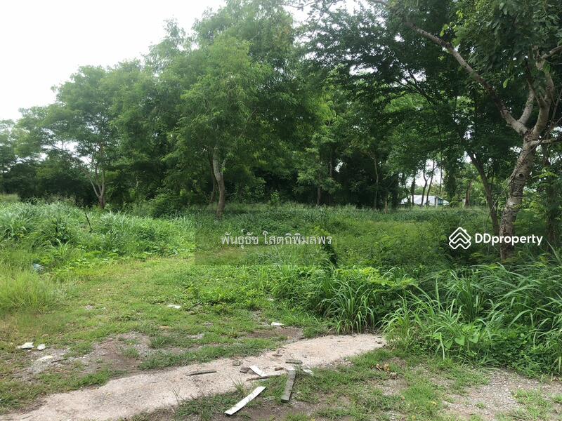 For Rent - Land for rent Pracha Ruam Jai 49, Bangkok