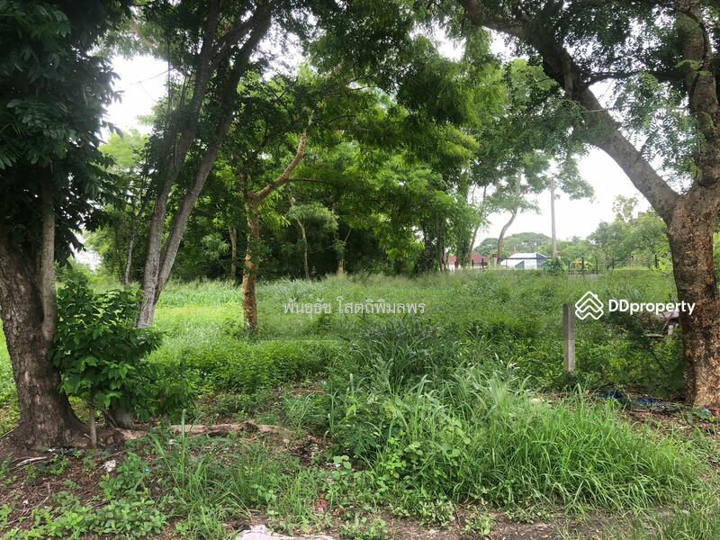 For Rent - Land for rent Pracha Ruam Jai 49, Bangkok