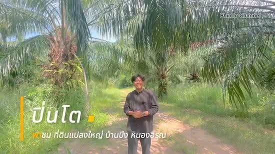 ที่ดินบ้านบึง 97ไร่ หนองอิรุณ, ชลบุรี, หนองอิรุณ, บ้านบึง, ชลบุรี, 155,400 ตร.ม., ที่ดิน ขาย, โดย A House Property Co.,Ltd., 11062536 - DDproperty.com