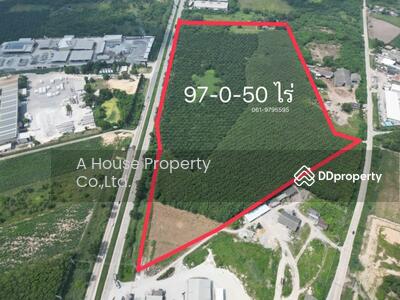 ขาย - ที่ดินบ้านบึง 97ไร่ หนองอิรุณ, ชลบุรี