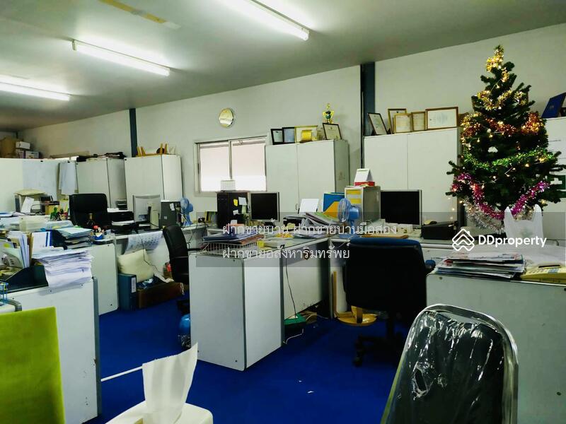 ให้เช่า - เช่าโรงงานพร้อมอาคารสำนักงาน 3 ไร่ ถนนสุวินทวงศ์ คลองอุดมขจร ฉะเชิงเทรา เดิมเป็นโรงงานเฟอร์นิเจอร์, ฉะเชิงเทรา