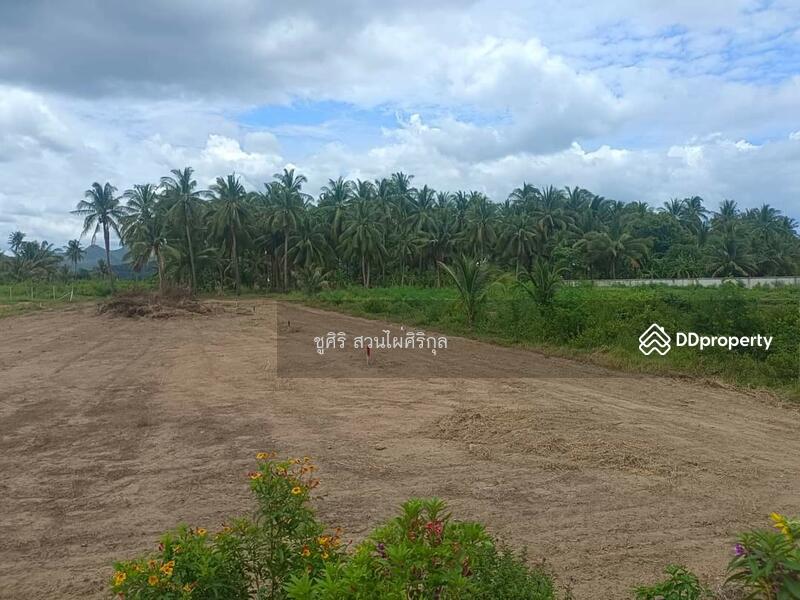 For Sale - Land for sale, Prachuap Khiri Khan