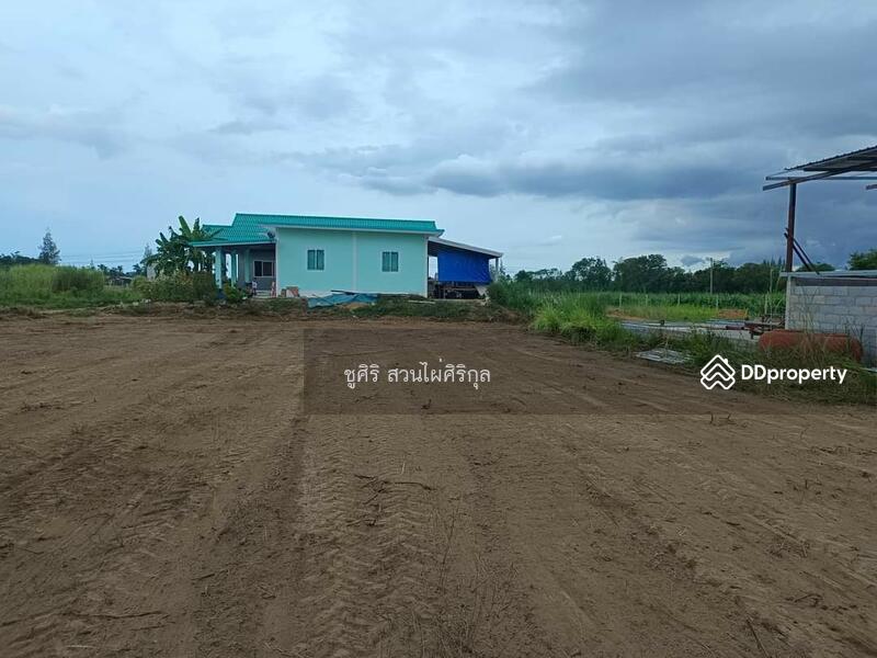 For Sale - Land for sale, Prachuap Khiri Khan