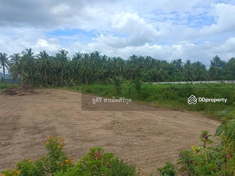 ขาย - ขายที่ดินโฉนด(ครุฑแดง) #พร้อมโอน อำเภอปราณบุรี ทำเลไม่ไกลจากตลาดสี่แยกปราณบุรี ห่างถนนเพชรเกษมเพียง, ประจวบคีรีขันธ์