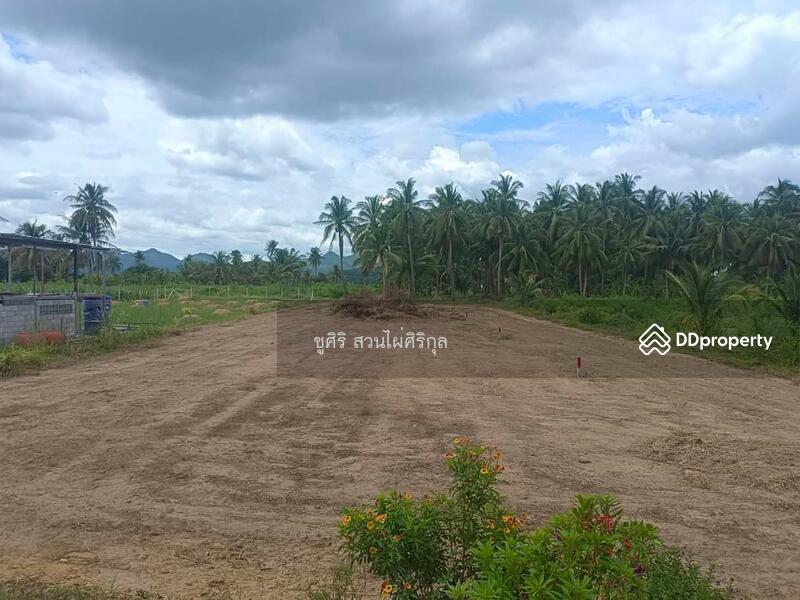 For Sale - Land for sale, Prachuap Khiri Khan