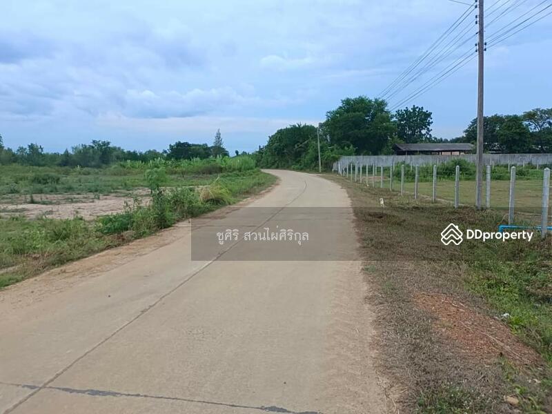 ขาย - ขายที่ดินโฉนด(ครุฑแดง) #พร้อมโอน อำเภอปราณบุรี ทำเลไม่ไกลจากตลาดสี่แยกปราณบุรี ห่างถนนเพชรเกษมเพียง, ประจวบคีรีขันธ์