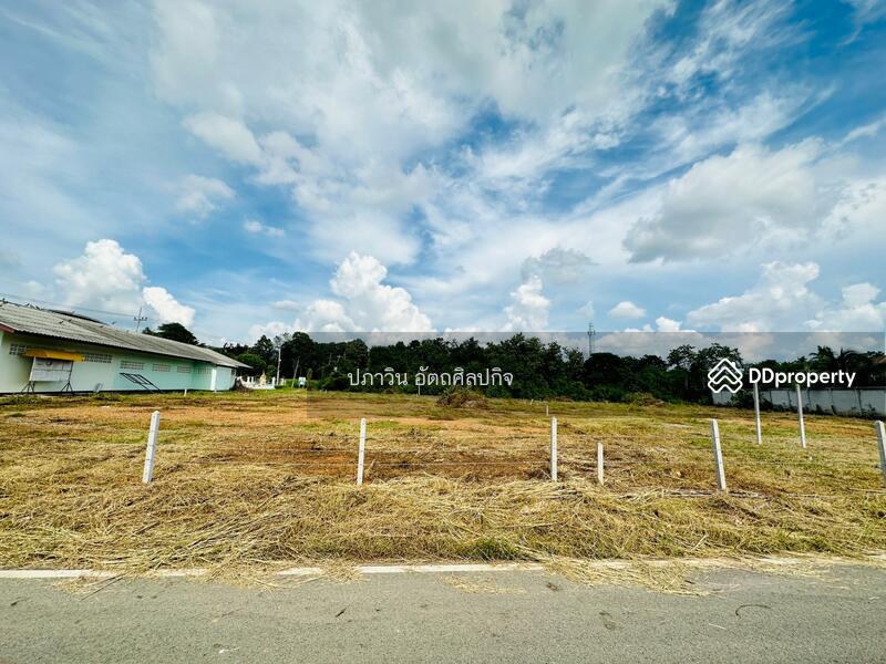 For Sale - Land for sale in Kanchanaburi Province, Kanchanaburi