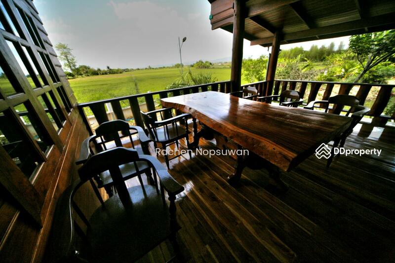 ขาย - ขายบ้านเดี่ยว บ้านช้างกลางนา อ.แม่ริม จ.เชียงใหม่ บ้านไม้ซุงสไตล์แคนาเดียน 3 ห้องนอน 2 ห้องน้ำ, เชียงใหม่