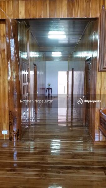 ขาย - ขายบ้านเดี่ยว บ้านช้างกลางนา อ.แม่ริม จ.เชียงใหม่ บ้านไม้ซุงสไตล์แคนาเดียน 3 ห้องนอน 2 ห้องน้ำ, เชียงใหม่