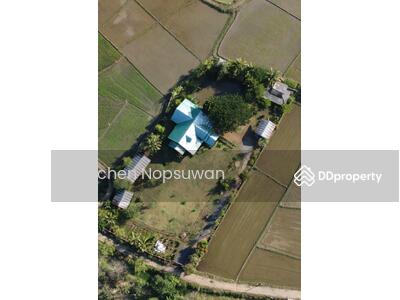 ขาย - ขายบ้านเดี่ยว บ้านช้างกลางนา อ.แม่ริม จ.เชียงใหม่ บ้านไม้ซุงสไตล์แคนาเดียน 3 ห้องนอน 2 ห้องน้ำ, เชียงใหม่