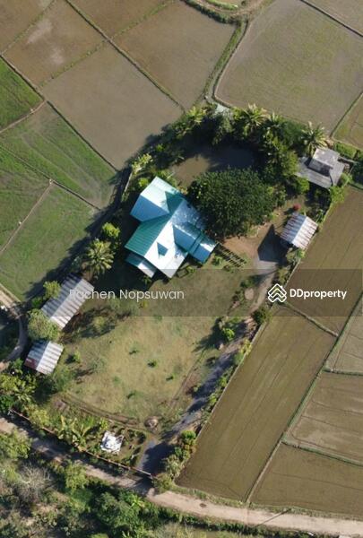 ขาย - ขายบ้านเดี่ยว บ้านช้างกลางนา อ.แม่ริม จ.เชียงใหม่ บ้านไม้ซุงสไตล์แคนาเดียน 3 ห้องนอน 2 ห้องน้ำ, เชียงใหม่