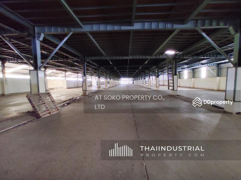 โกดังให้เช่า โรงงานให้เช่า 2976 ตรม หน้าไม้, ลาดหลุมแก้ว, ปทุมธานี (หมายเลขประกาศ: AT1212R), ปทุมธานี, หน้าไม้, ลาดหลุมแก้ว, ปทุมธานี, 2,976 ตร.ม., โกดัง-โรงงาน ให้เช่า, โดย AT SOKO PROPERTY CO., LTD, 11070630 - DDproperty.com
