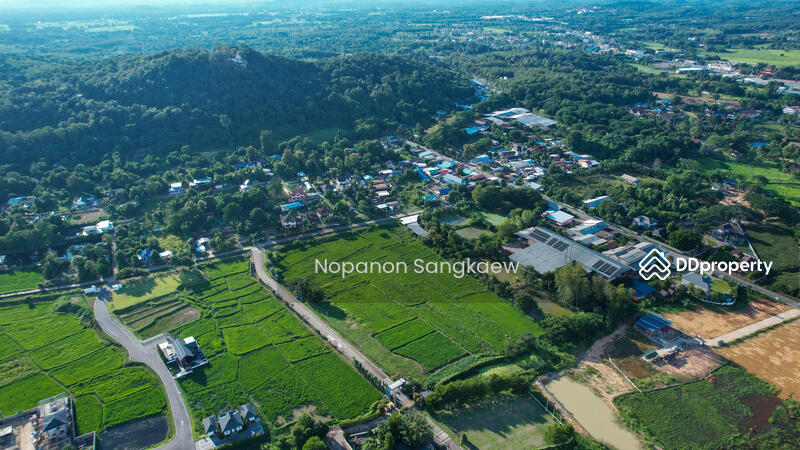 For Sale - น่าน, Nan