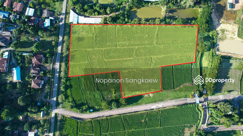 For Sale - น่าน, Nan