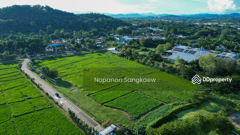 For Sale - น่าน, Nan