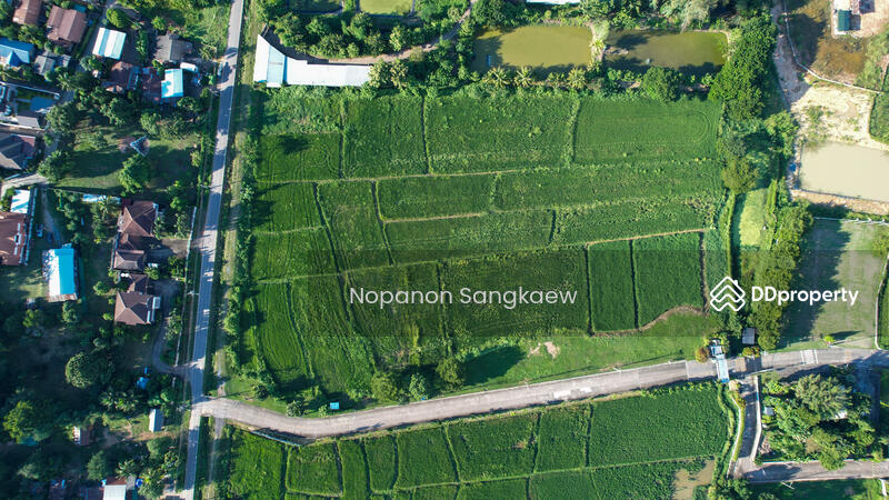 For Sale - น่าน, Nan