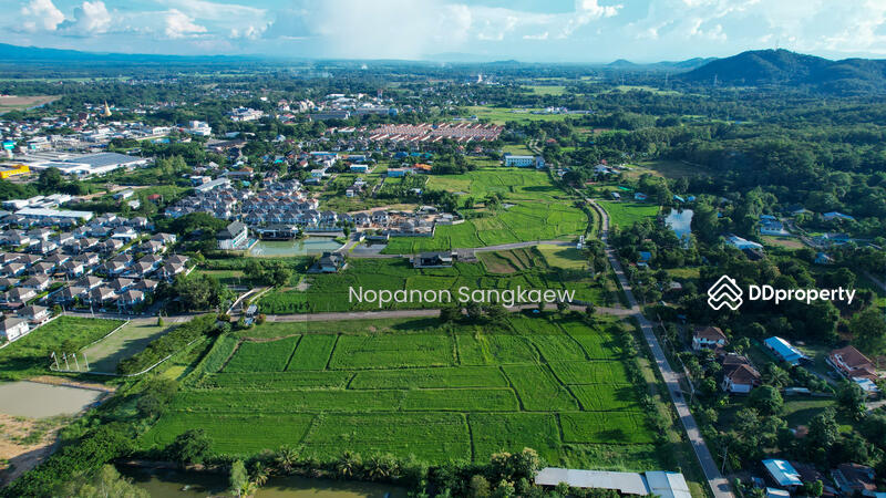 For Sale - น่าน, Nan