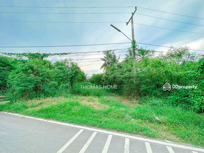 ขาย - ที่ดิน นครปฐม, นครปฐม