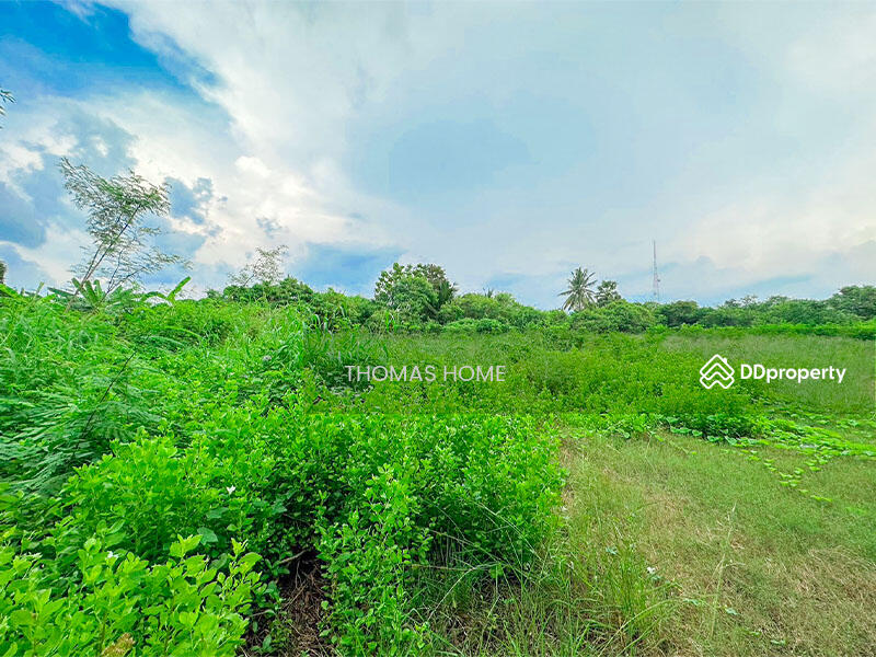 ขาย - ที่ดิน นครปฐม, นครปฐม