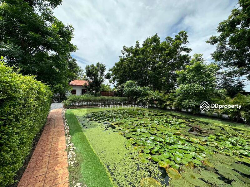ขาย บ้านสไตล์โมเดิร์น ถนนคลองหลวง ปทุมธานี (ใกล้ ม.ธรรมศาสตร์ รังสิต) เนื้อที่ 500 ตร.ว. 6 นอน 5 น้ำ, ปทุมธานี, คลองหลวง, คลองสาม, คลองหลวง, ปทุมธานี, 314 ตร.ม., บ้านเดี่ยว ขาย, โดย TopLands of Thailand, 11072950 - DDproperty.com