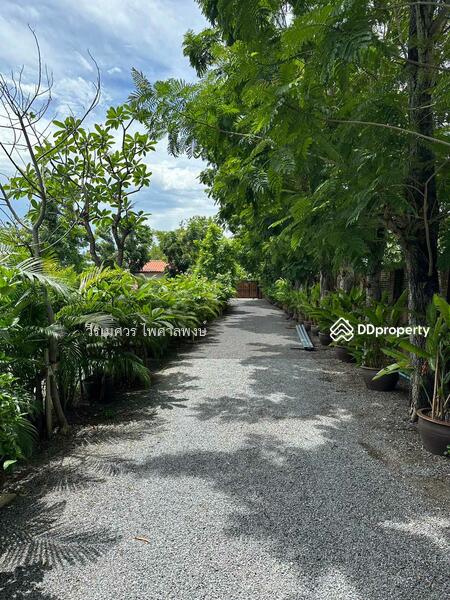 ขาย บ้านสไตล์โมเดิร์น ถนนคลองหลวง ปทุมธานี (ใกล้ ม.ธรรมศาสตร์ รังสิต) เนื้อที่ 500 ตร.ว. 6 นอน 5 น้ำ, ปทุมธานี, คลองหลวง, คลองสาม, คลองหลวง, ปทุมธานี, 314 ตร.ม., บ้านเดี่ยว ขาย, โดย TopLands of Thailand, 11072950 - DDproperty.com