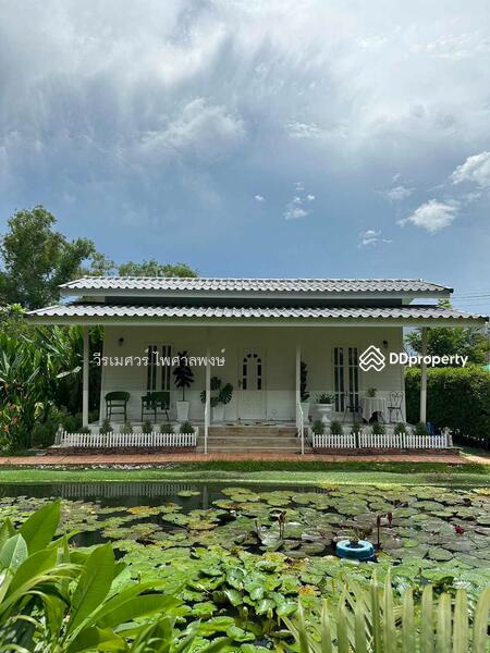 ขาย บ้านสไตล์โมเดิร์น ถนนคลองหลวง ปทุมธานี (ใกล้ ม.ธรรมศาสตร์ รังสิต) เนื้อที่ 500 ตร.ว. 6 นอน 5 น้ำ, ปทุมธานี, คลองหลวง, คลองสาม, คลองหลวง, ปทุมธานี, 314 ตร.ม., บ้านเดี่ยว ขาย, โดย TopLands of Thailand, 11072950 - DDproperty.com