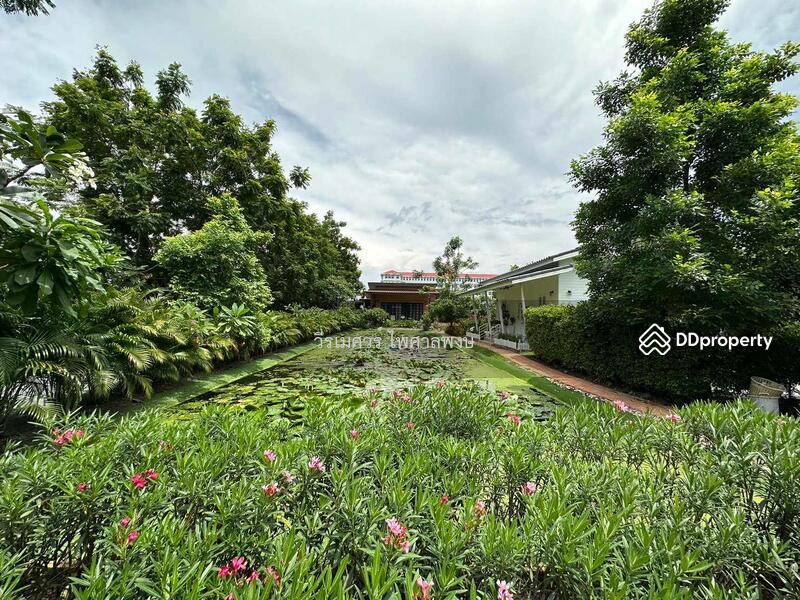 ขาย บ้านสไตล์โมเดิร์น ถนนคลองหลวง ปทุมธานี (ใกล้ ม.ธรรมศาสตร์ รังสิต) เนื้อที่ 500 ตร.ว. 6 นอน 5 น้ำ, ปทุมธานี, คลองหลวง, คลองสาม, คลองหลวง, ปทุมธานี, 314 ตร.ม., บ้านเดี่ยว ขาย, โดย TopLands of Thailand, 11072950 - DDproperty.com