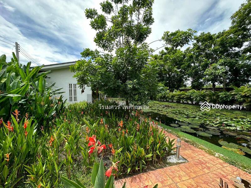 ขาย บ้านสไตล์โมเดิร์น ถนนคลองหลวง ปทุมธานี (ใกล้ ม.ธรรมศาสตร์ รังสิต) เนื้อที่ 500 ตร.ว. 6 นอน 5 น้ำ, ปทุมธานี, คลองหลวง, คลองสาม, คลองหลวง, ปทุมธานี, 314 ตร.ม., บ้านเดี่ยว ขาย, โดย TopLands of Thailand, 11072950 - DDproperty.com