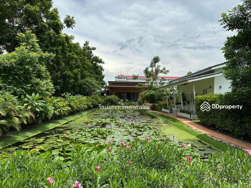 ขาย บ้านสไตล์โมเดิร์น ถนนคลองหลวง ปทุมธานี (ใกล้ ม.ธรรมศาสตร์ รังสิต) เนื้อที่ 500 ตร.ว. 6 นอน 5 น้ำ, ปทุมธานี, คลองหลวง, คลองสาม, คลองหลวง, ปทุมธานี, 314 ตร.ม., บ้านเดี่ยว ขาย, โดย TopLands of Thailand, 11072950 - DDproperty.com