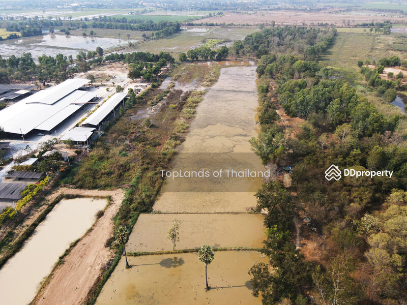 ขาย - ขาย ที่ดิน ถนนพิษณุโลก - วังทอง ตรงข้ามโรงงาน CP อ.เมืองพิษณุโลก เนื้อที่ 16-3-21 ไร่ เหมาะทำการค้า, พิษณุโลก