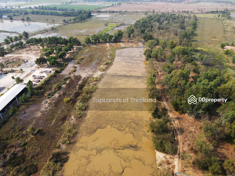 ขาย - ขาย ที่ดิน ถนนพิษณุโลก - วังทอง ตรงข้ามโรงงาน CP อ.เมืองพิษณุโลก เนื้อที่ 16-3-21 ไร่ เหมาะทำการค้า, พิษณุโลก