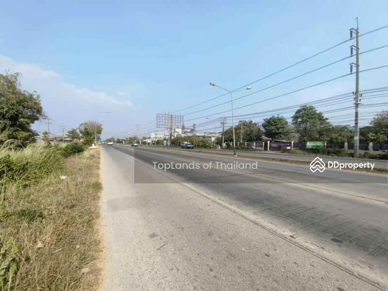 ขาย - ขาย ที่ดิน ถนนพิษณุโลก - วังทอง ตรงข้ามโรงงาน CP อ.เมืองพิษณุโลก เนื้อที่ 16-3-21 ไร่ เหมาะทำการค้า, พิษณุโลก