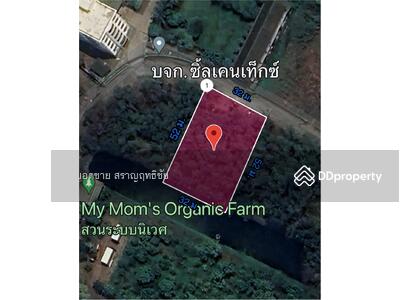 ขาย - ขายที่ดิน 1-0-21 ไร่ บางหลวง เมืองปทุมธานี 4.21 ล้านบาท, ปทุมธานี