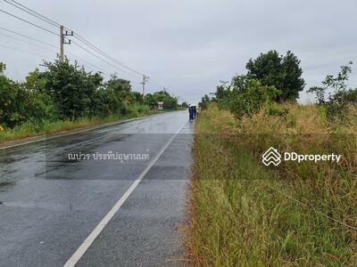 ขาย - ขายที่ดินแปลงสวย เหมาะทำหมู่บ้านจัดสรร, นครราชสีมา