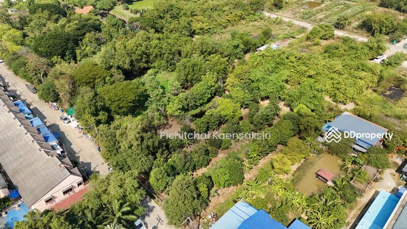 ที่ดินคลองสอง ซอย เอราวัณ29 อำเภอคลองหลวง ปทุมธานี 12120, ปทุมธานี, คลองสอง, คลองหลวง, ปทุมธานี, 3,200 ตร.ม., ที่ดิน ขาย, โดย Pichitchai Kaensaksiri, 11078879 - DDproperty.com