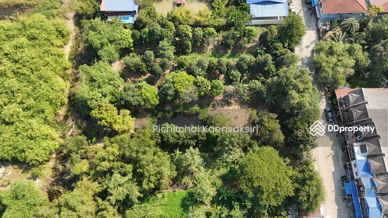 ที่ดินคลองสอง ซอย เอราวัณ29 อำเภอคลองหลวง ปทุมธานี 12120, ปทุมธานี, คลองสอง, คลองหลวง, ปทุมธานี, 3,200 ตร.ม., ที่ดิน ขาย, โดย Pichitchai Kaensaksiri, 11078879 - DDproperty.com