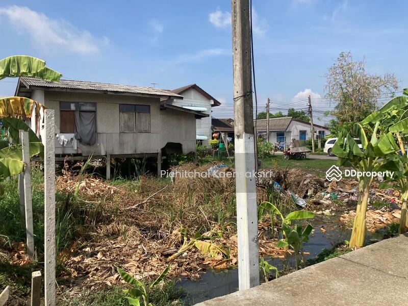ที่ดินคลอง3 บึงยี่โถ อำเภอคลองหลวง ปทุมธานี 12120, Pathum Thani, Bang Yitho, Thanyaburi, Pathum Thani, , 50 sqm, Land For Sale, by Pichitchai Kaensaksiri, 11079165 - DDproperty.com