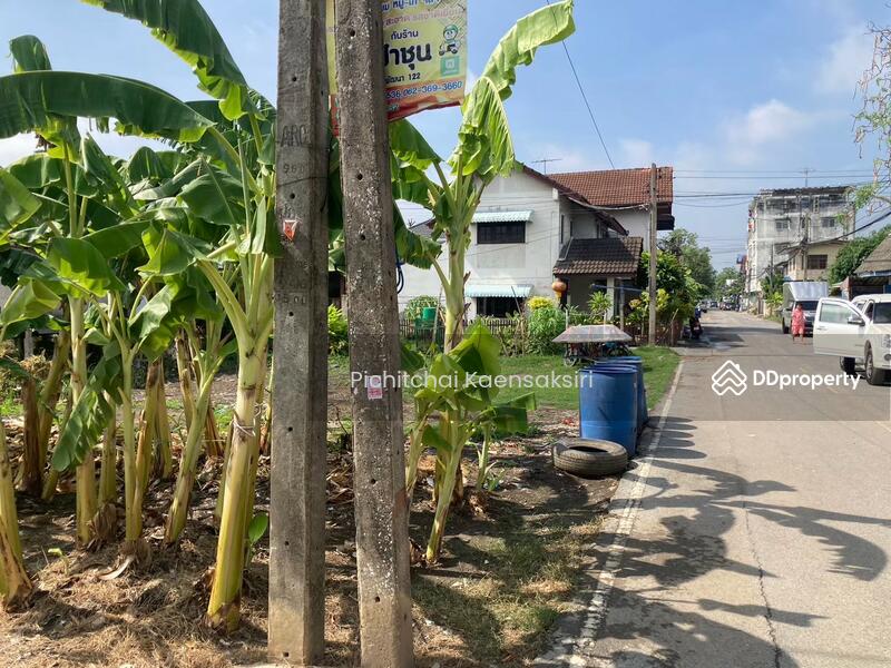 ที่ดินคลอง3 บึงยี่โถ อำเภอคลองหลวง ปทุมธานี 12120, Pathum Thani, Bang Yitho, Thanyaburi, Pathum Thani, , 50 sqm, Land For Sale, by Pichitchai Kaensaksiri, 11079165 - DDproperty.com