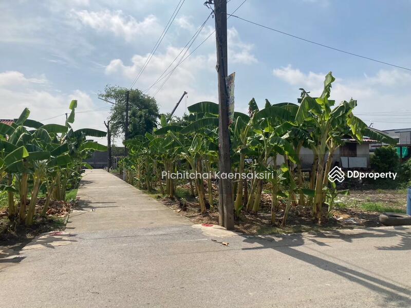 ที่ดินคลอง3 บึงยี่โถ อำเภอคลองหลวง ปทุมธานี 12120, ปทุมธานี, บึงยี่โถ, ธัญบุรี, ปทุมธานี, 50 ตร.ม., ที่ดิน ขาย, โดย Pichitchai Kaensaksiri, 11079165 - DDproperty.com