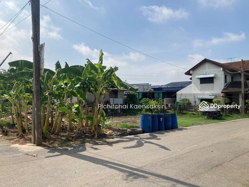 ที่ดินคลอง3 บึงยี่โถ อำเภอคลองหลวง ปทุมธานี 12120, Pathum Thani, Bang Yitho, Thanyaburi, Pathum Thani, , 50 sqm, Land For Sale, by Pichitchai Kaensaksiri, 11079165 - DDproperty.com