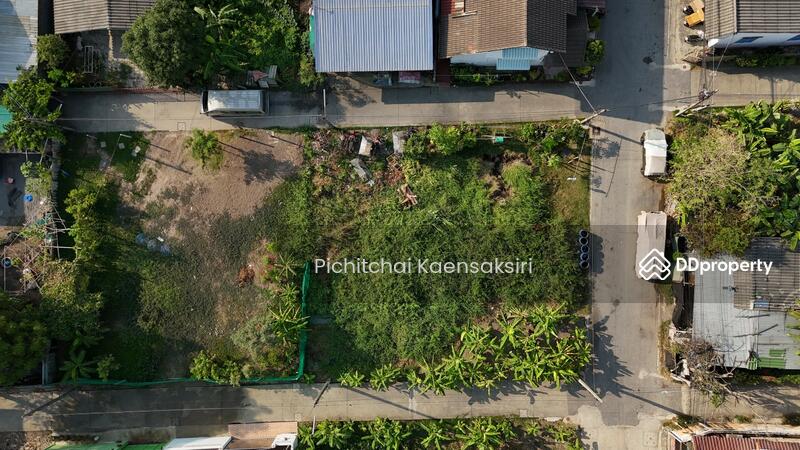 ที่ดินคลอง3 บึงยี่โถ อำเภอคลองหลวง ปทุมธานี 12120, ปทุมธานี, บึงยี่โถ, ธัญบุรี, ปทุมธานี, 50 ตร.ม., ที่ดิน ขาย, โดย Pichitchai Kaensaksiri, 11079165 - DDproperty.com