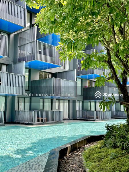 ให้เช่า - The Deck Patong: เดอะเดค ป่าตอง, ภูเก็ต