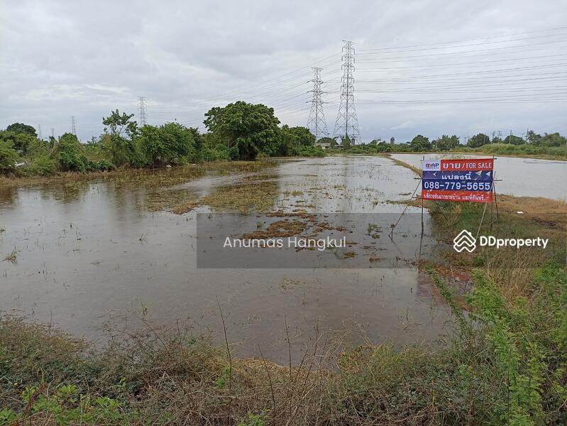 ขาย - ที่ดินติดทางหลวง สี่แยกเปร็ง, สมุทรปราการ
