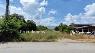 ขาย - ที่ดิน 20 ไร่ คลอง 5 ฝั่งตะวันตก ปทุมธานี, ปทุมธานี