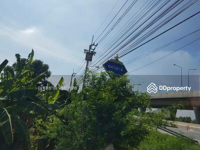 ขาย - ขายที่ดินในซอยวังข่า 4 ถนนราชพฤกษ์ ตัดใหม่ ใก้ลโรงพยาบาลปากเกร็ด 2 โรงเรียนสารสาสน์วิเทศ ราชพฤกษ์, นนทบุรี