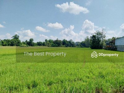 ขาย - ที่ดินคุ้งตะเภา อุตรดิตถ์, อุตรดิตถ์